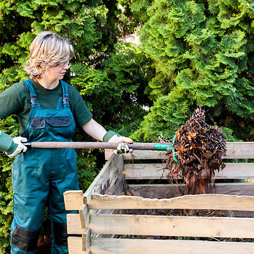 Everything you need to know about composting