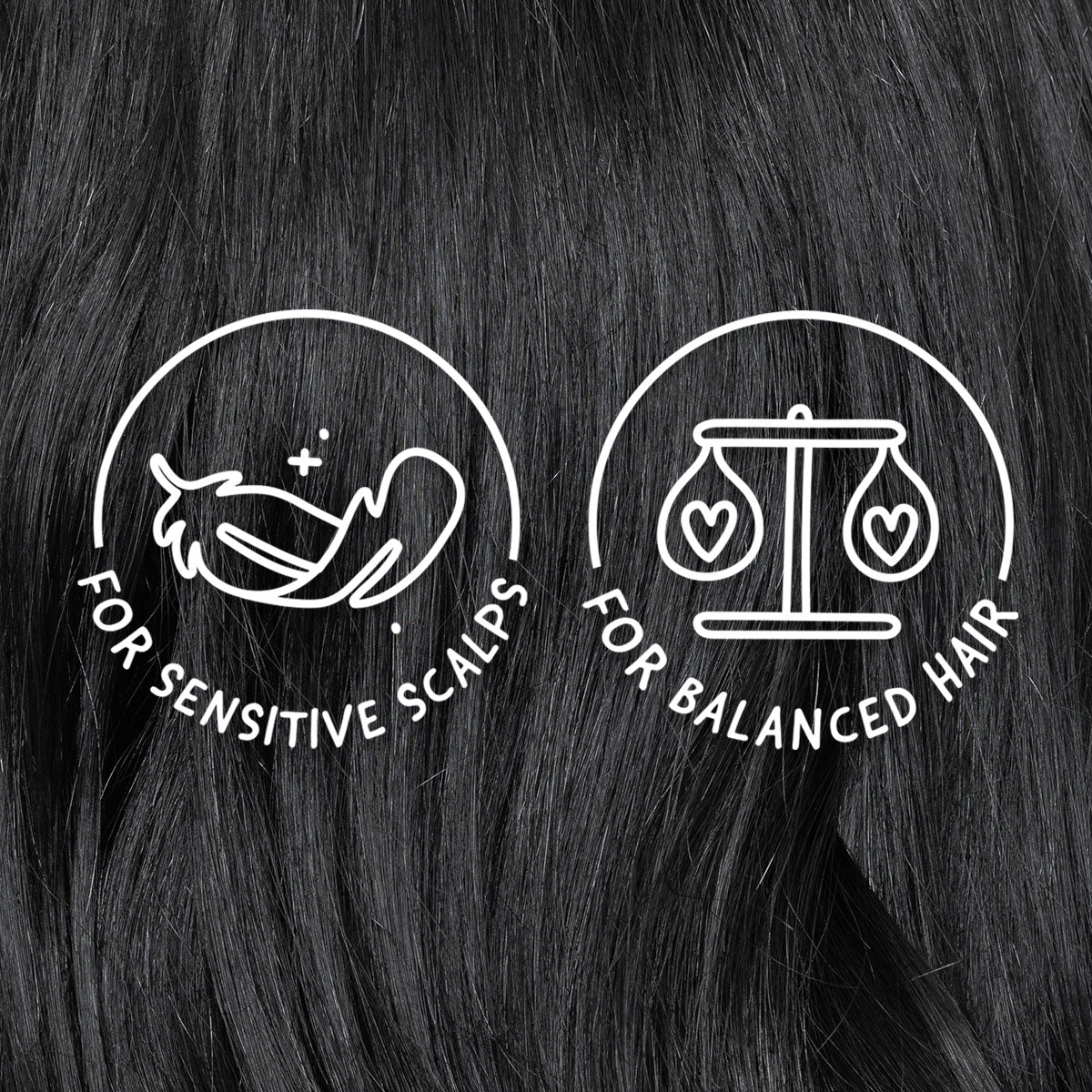 Unscented Shampoo Bar Mini: Bar Minimum™, image 5