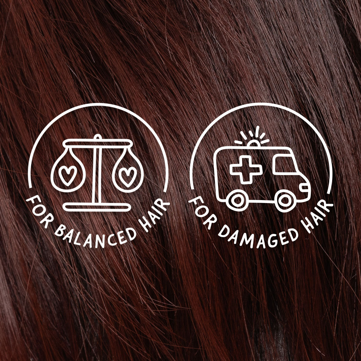 Restoring Shampoo Bar for Dry, Damaged Hair: Sorbet™