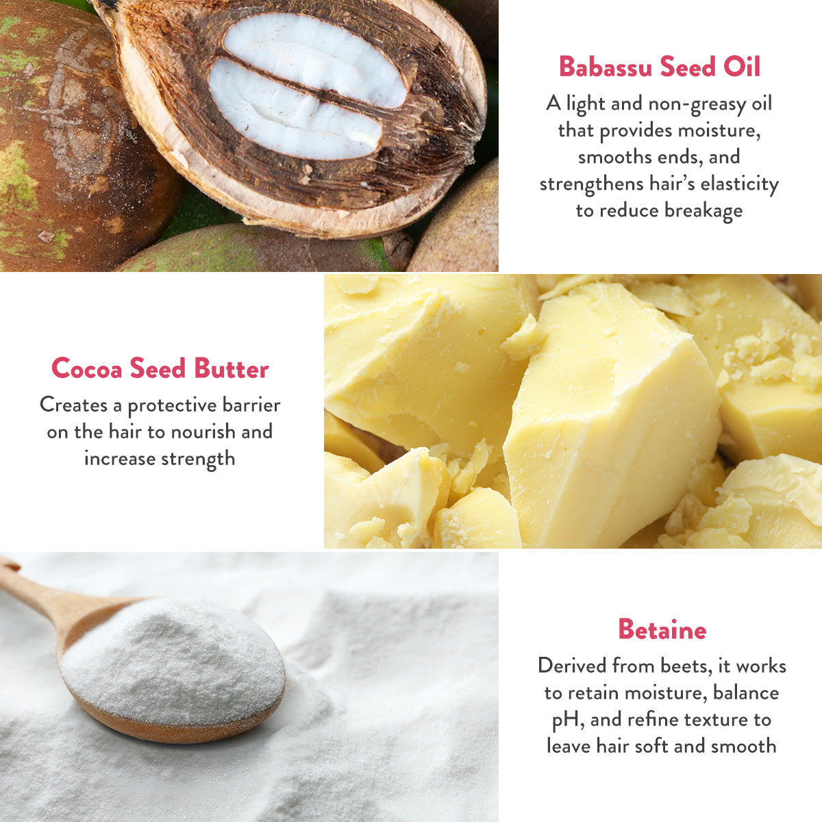 Unscented Shampoo Bar Mini: Bar Minimum™, image 4