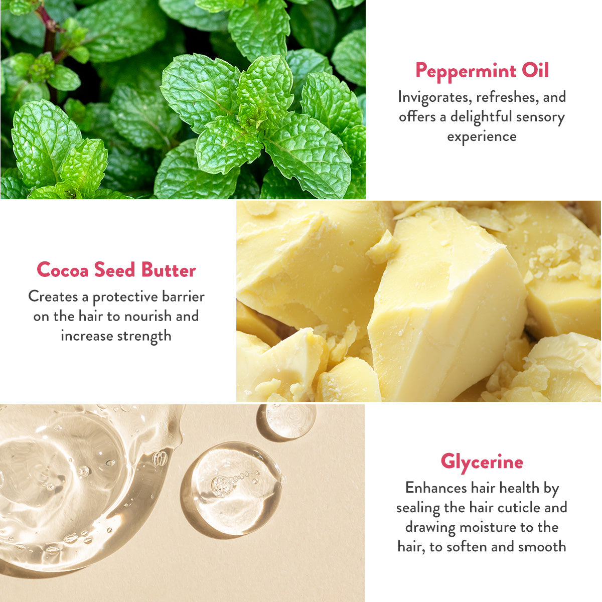 Replenishing Shampoo Bar Mini for Dry Hair: Mintasy™, image 4