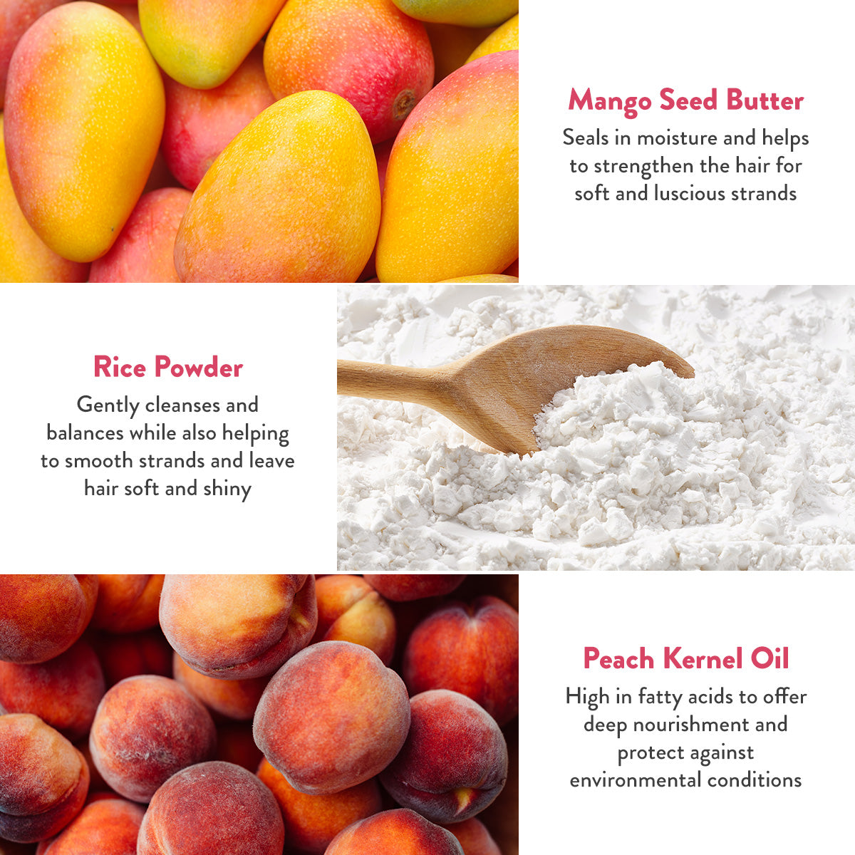 Sorbet Shampoo Bar for Dry, Damaged Hair, image 5