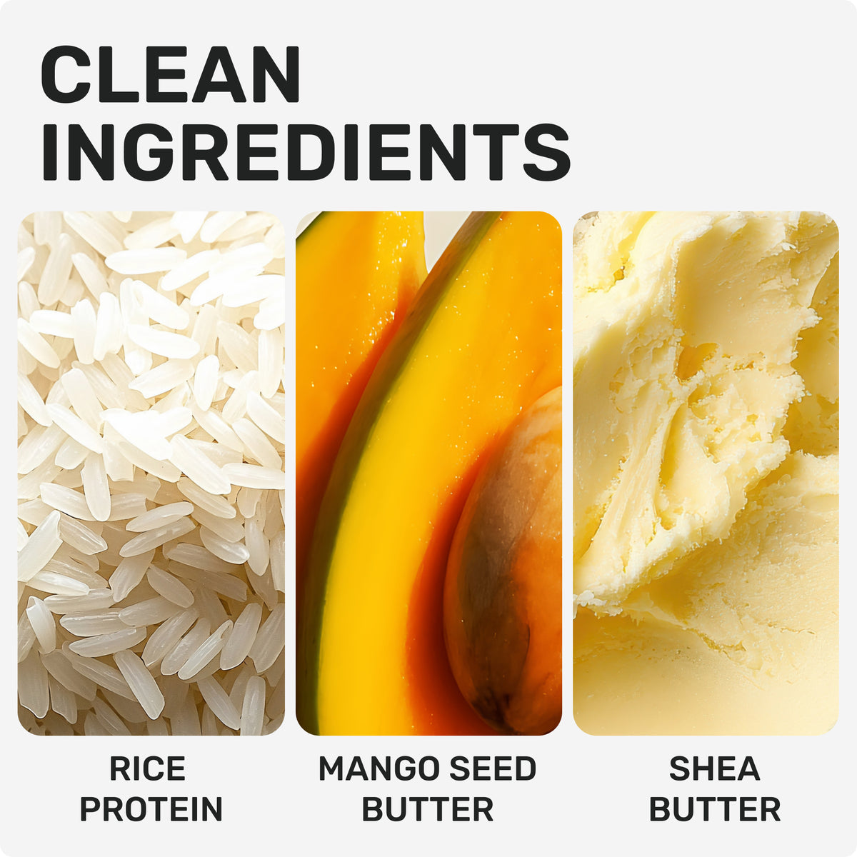 CLEAN INGREDIENTS
RICE PROTEIN
MANGO SEED BUTTER
SHEA BUTTER