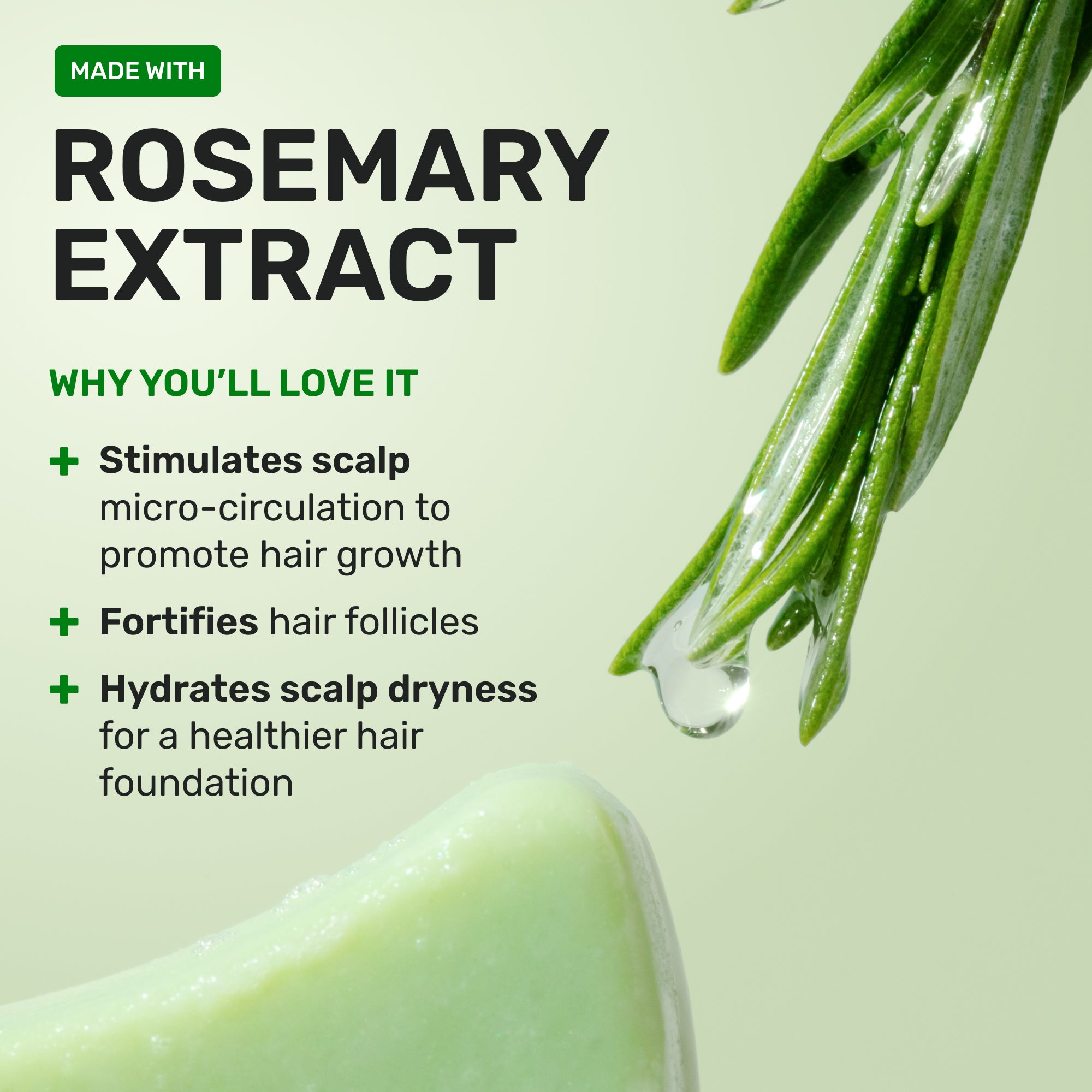 Made with Rosemary Extract
Why you'll love it
Stimulates scalp micro circulation to promote hair growth
Fortifies hair follicles
Hydrates scalp dryness for a healthier hair foundation