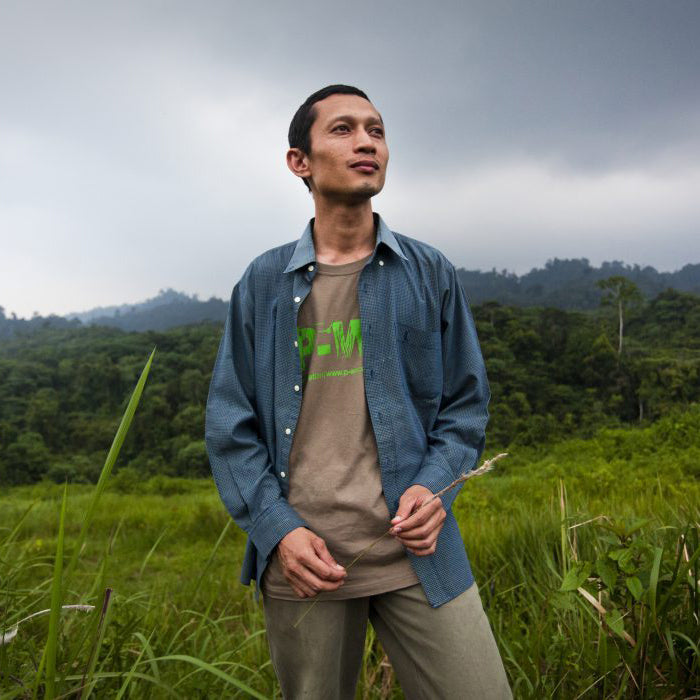 Eco Hero: Rudi Putra the Rainforest Regenerator