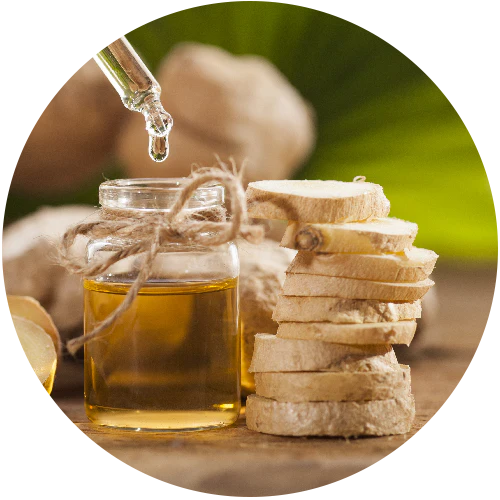 Zingiber officinale (ginger) essential oil