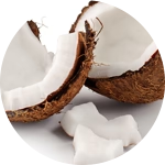 Coconut