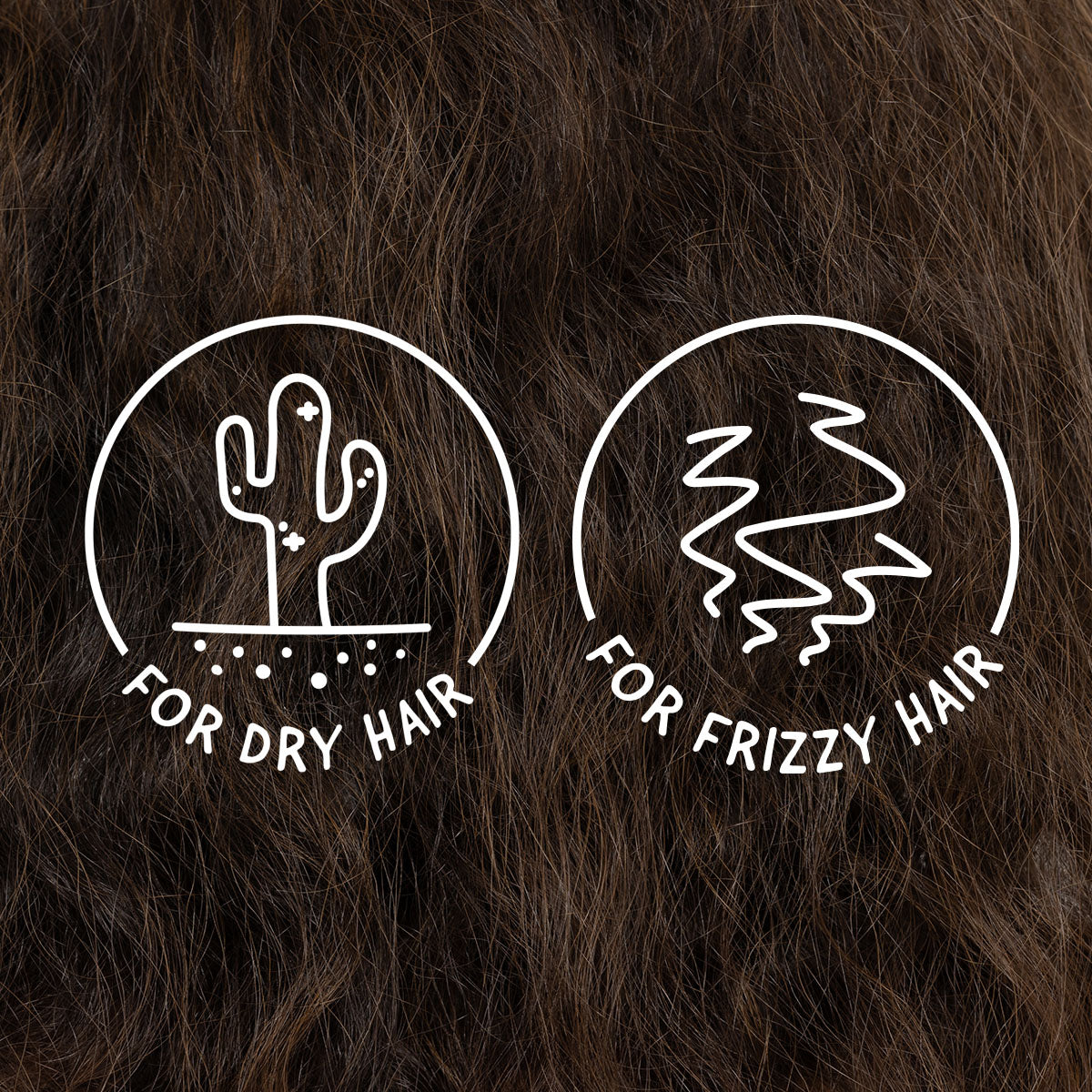 Smoothing Shampoo Bar for Frizzy Hair: Frizz Wrangler™