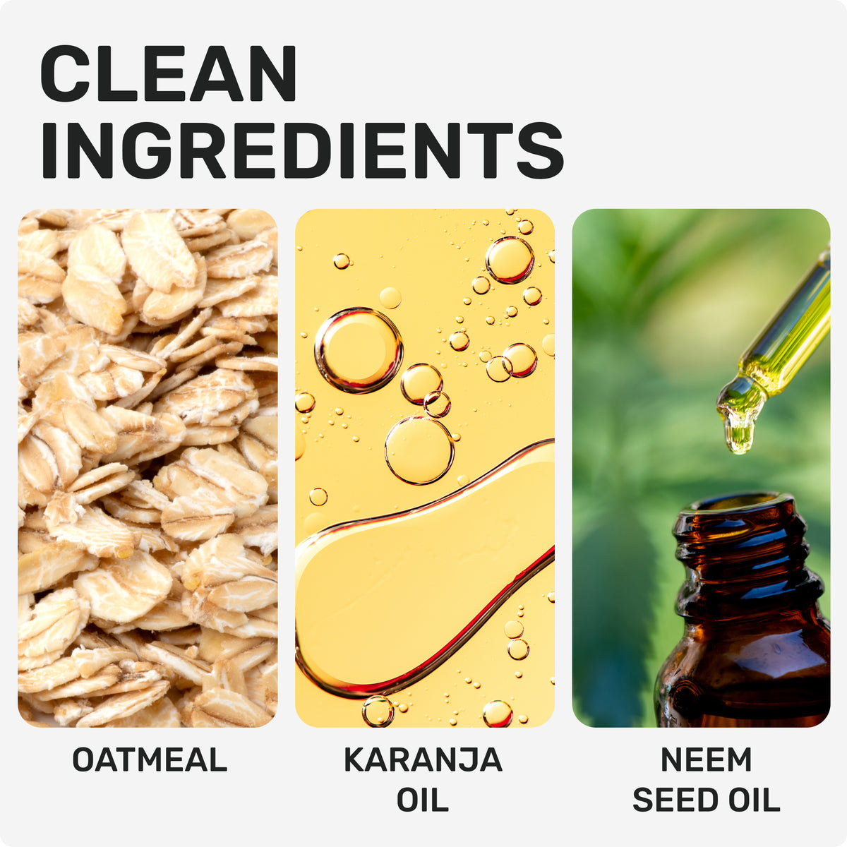 CLEAN INGREDIENTS 
OATMEAL
KARANJA OIL
NEEM SEED OIL